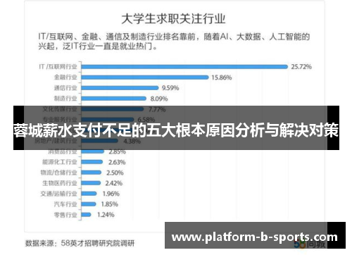 蓉城薪水支付不足的五大根本原因分析与解决对策